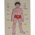 Wooden Human Body Part Colorful Educational Toy For Kids Learning Manufacturers, Suppliers in Uttar Pradesh